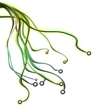 root-circuits-left